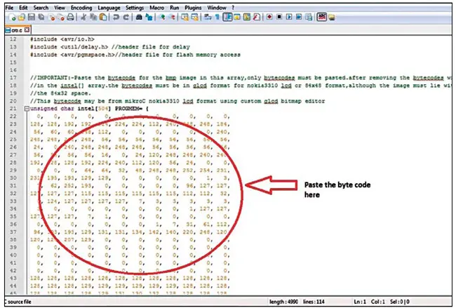 Copying byte code of the image in the program