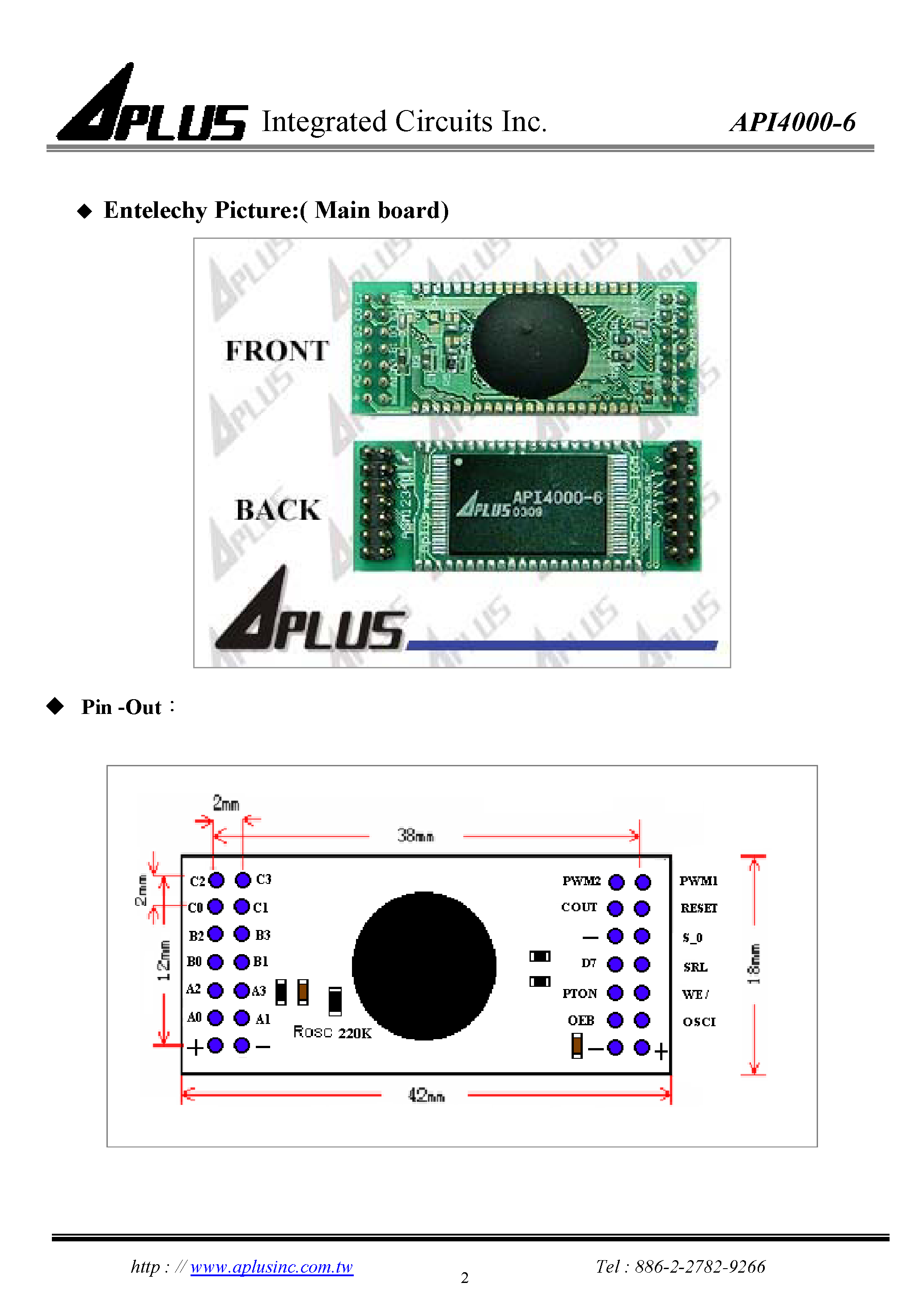 Даташит API4000-6 - very low cost voice synthesizer with 4-bit microprocessor страница 2