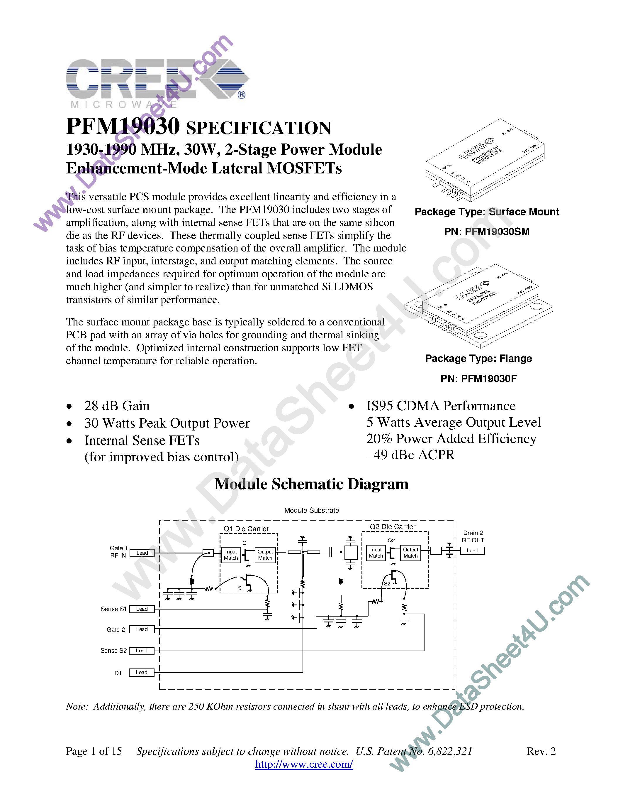 Даташит PFM19030 - 2-Stage Power Module Enhancement-Mode Lateral MOSFETs страница 1