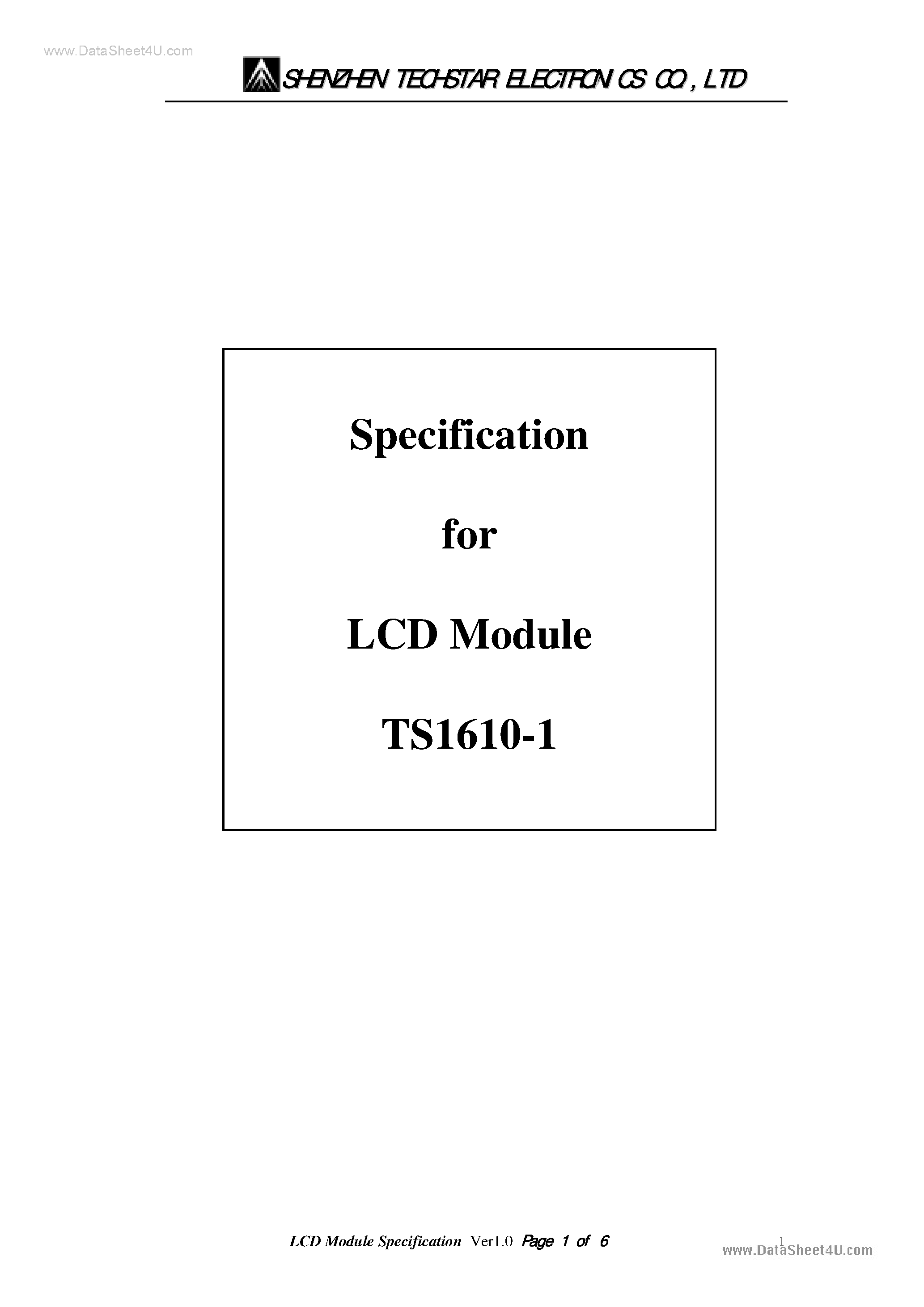 Даташит TS1610-1 - LCD Module страница 1