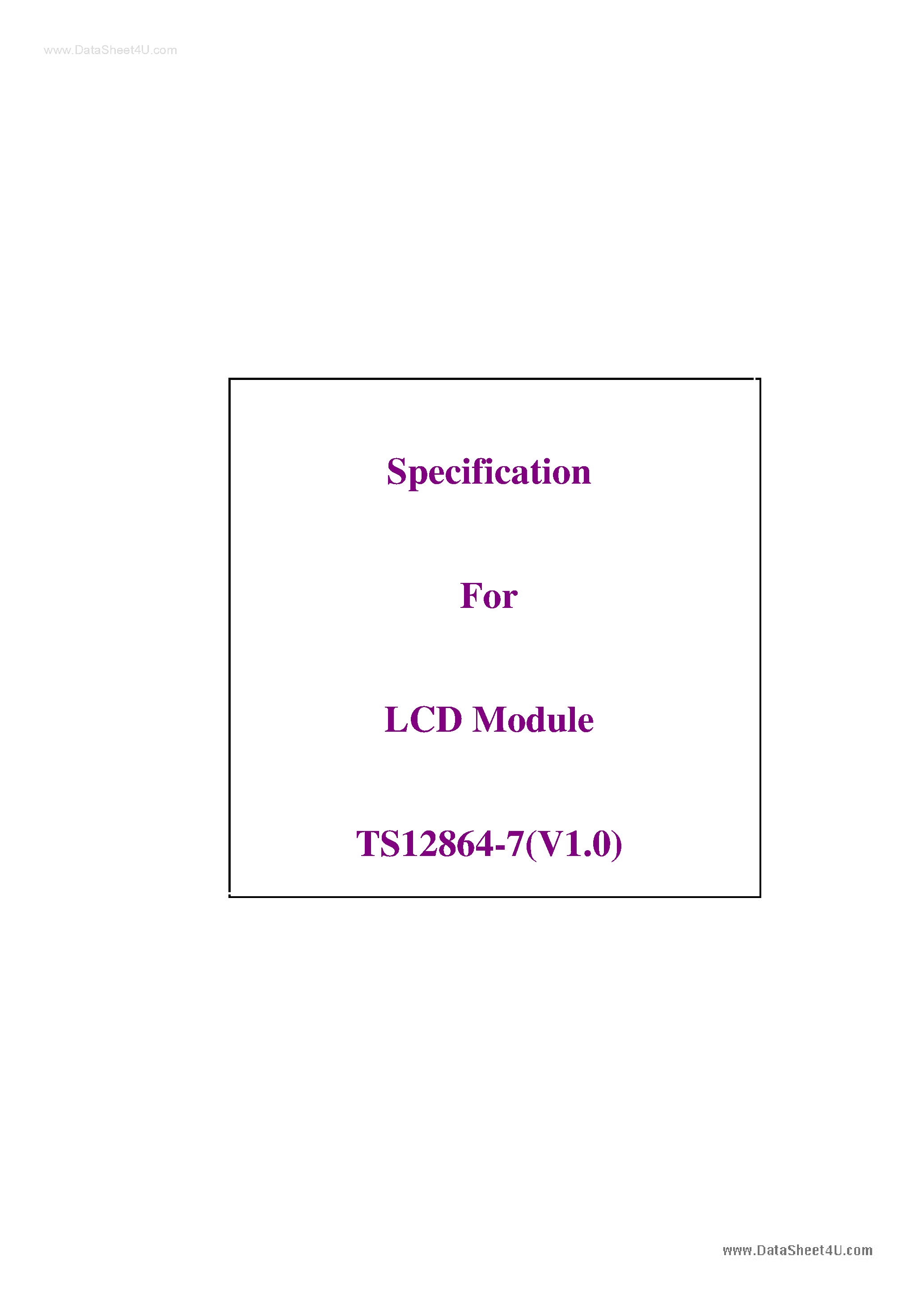 Даташит TS12864-7 - LCD Module страница 1