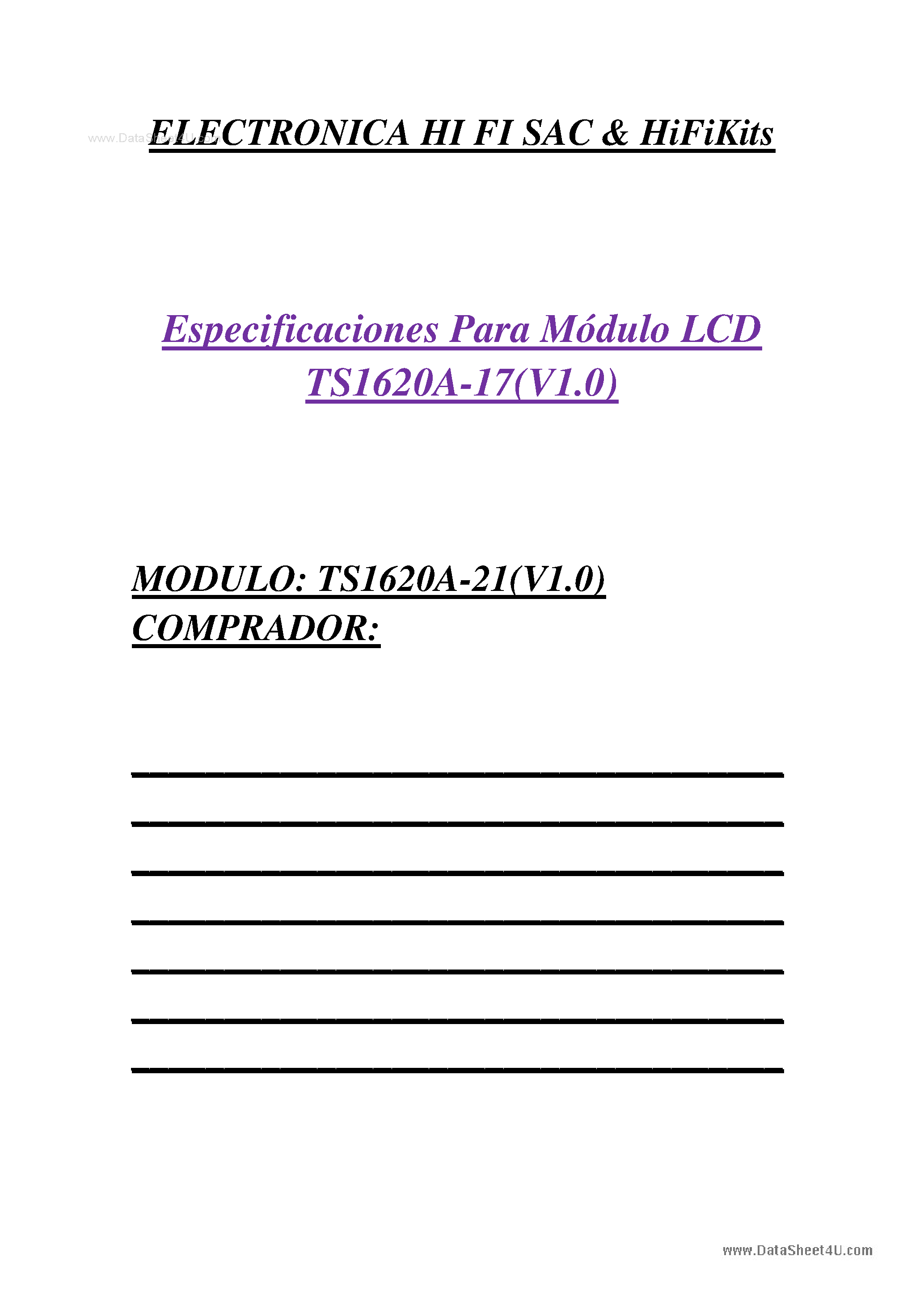 Даташит TS1620A-17 - LCD Module страница 1