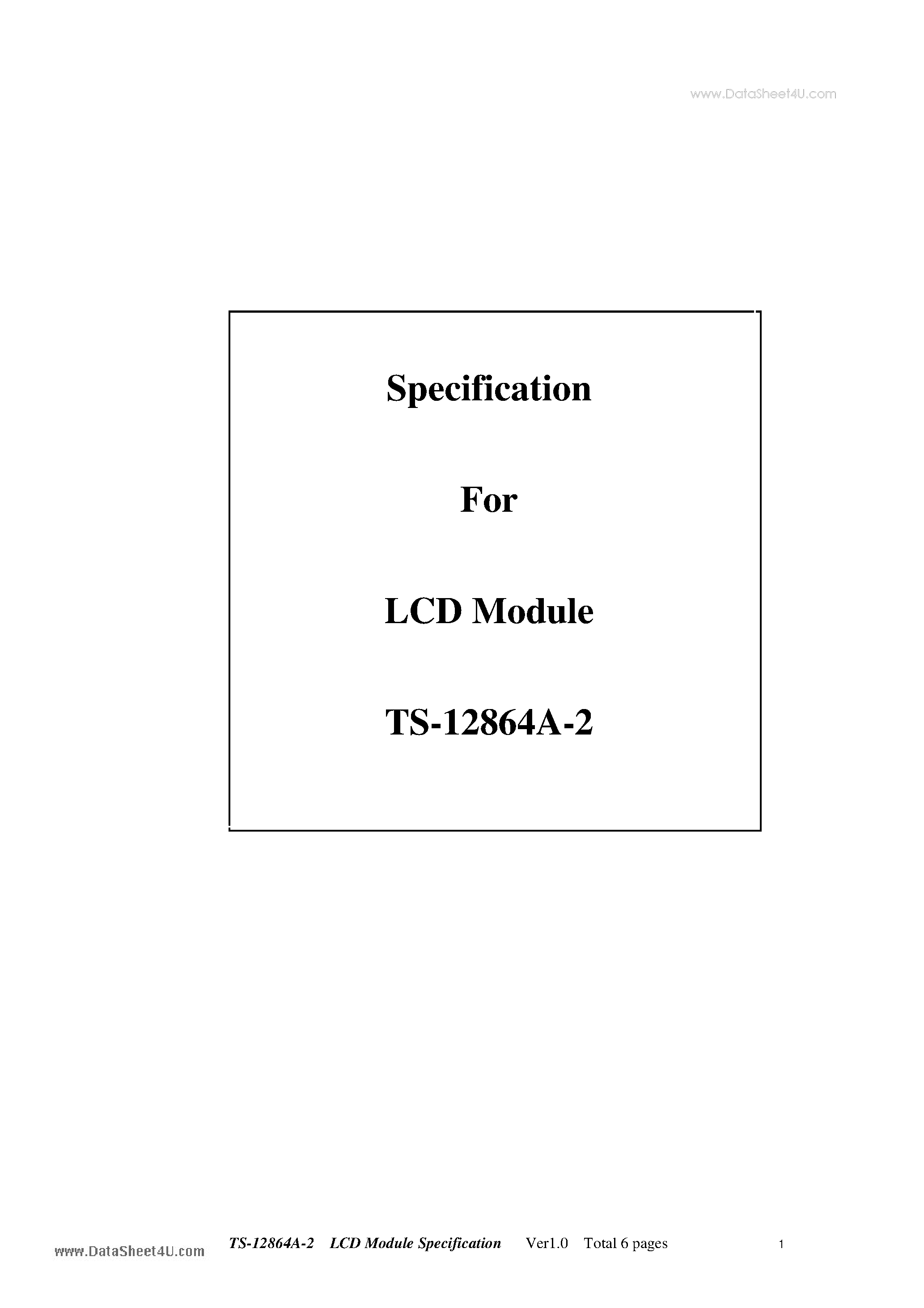 Даташит TS12864A-2 - LCD Module страница 1